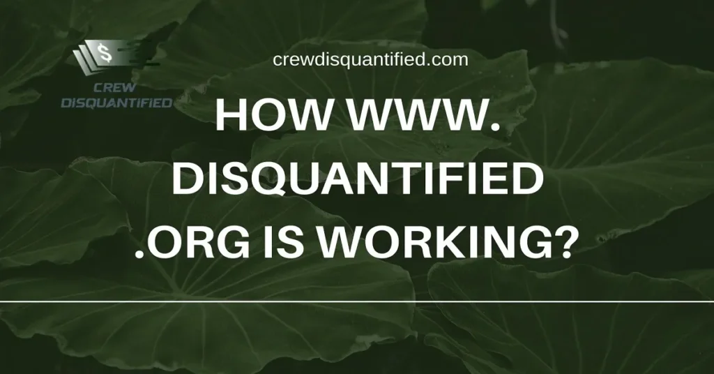 www. disquantified .org