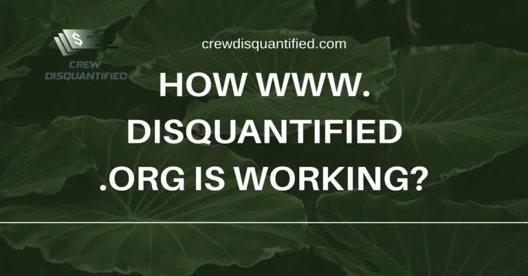 www. disquantified .org