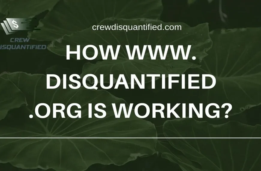 www. disquantified .org