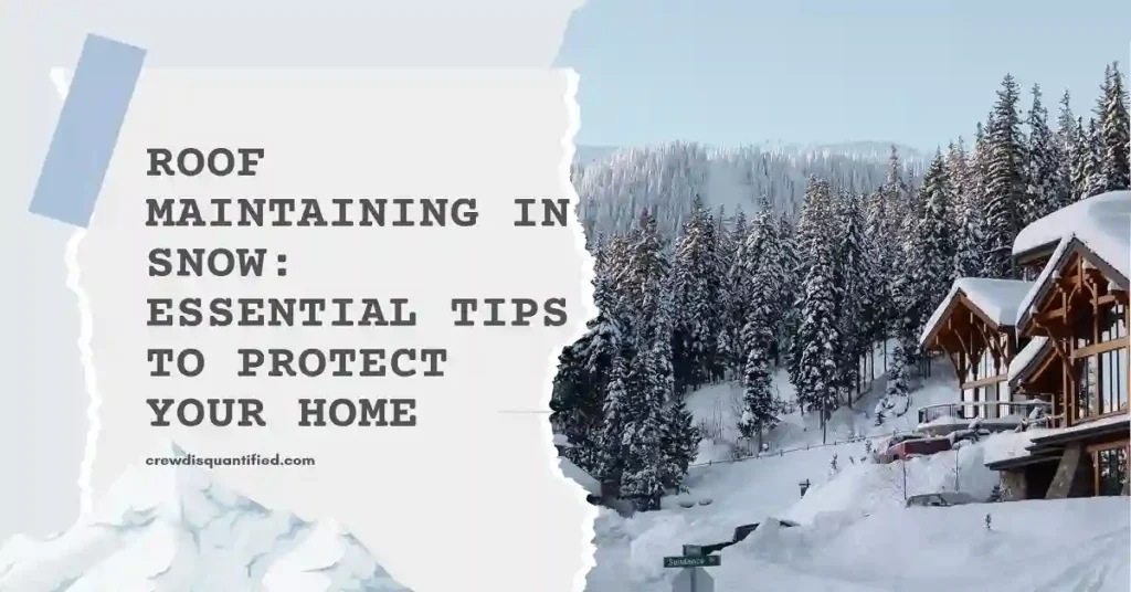 Roof Maintaining in Snow