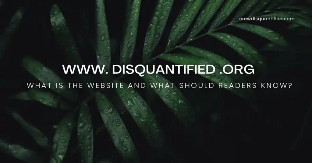 www. disquantified .org