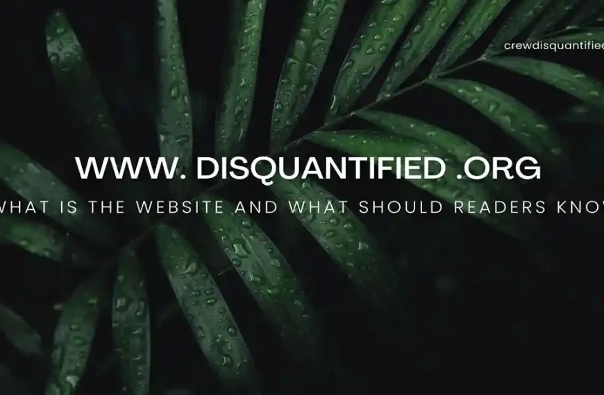 www. disquantified .org